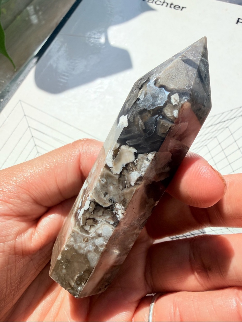 Fossilized Coral Tower | Agatized Coral Crystal Point | 4” Polished Fossil